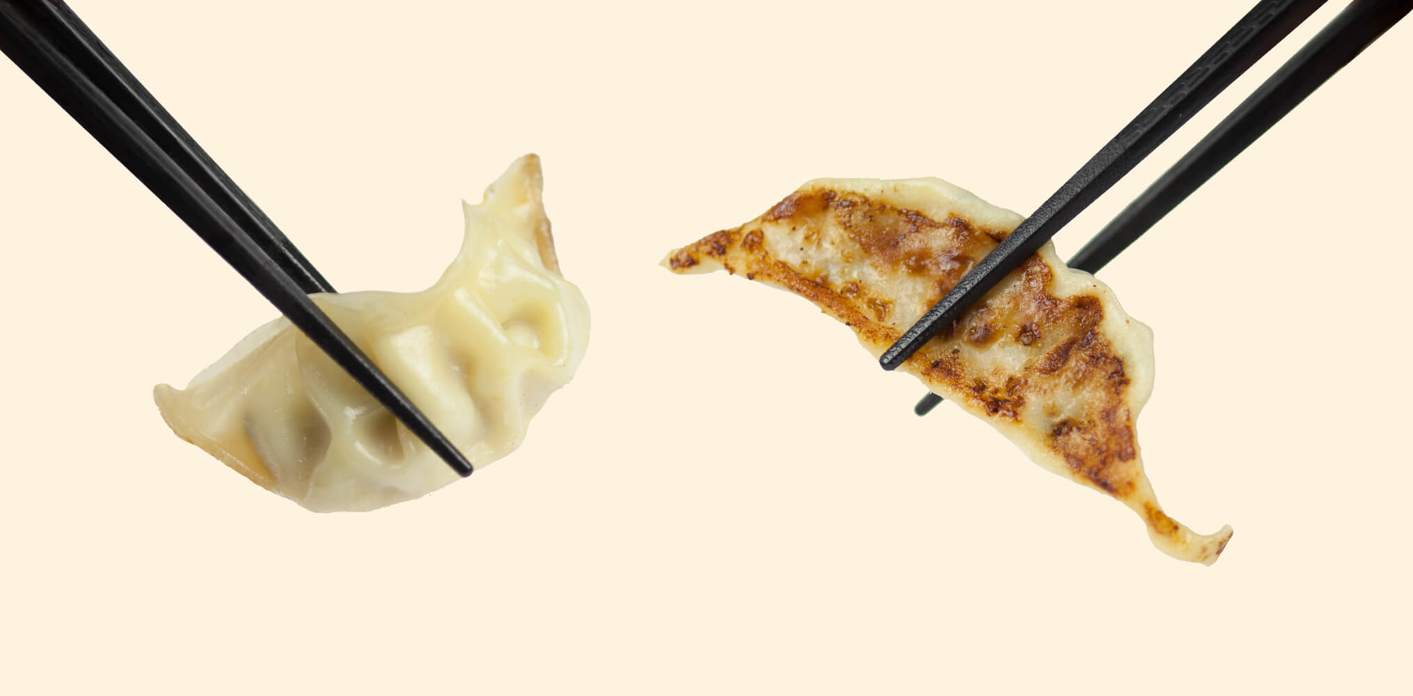Gyoza mit Stäbchen IIMORI Gyoza Bar