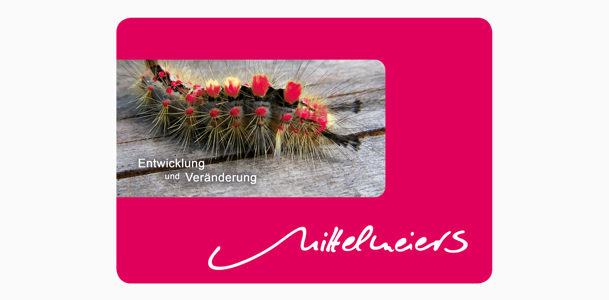 Compliment Card für mittelmeiers – Coaching & Training 