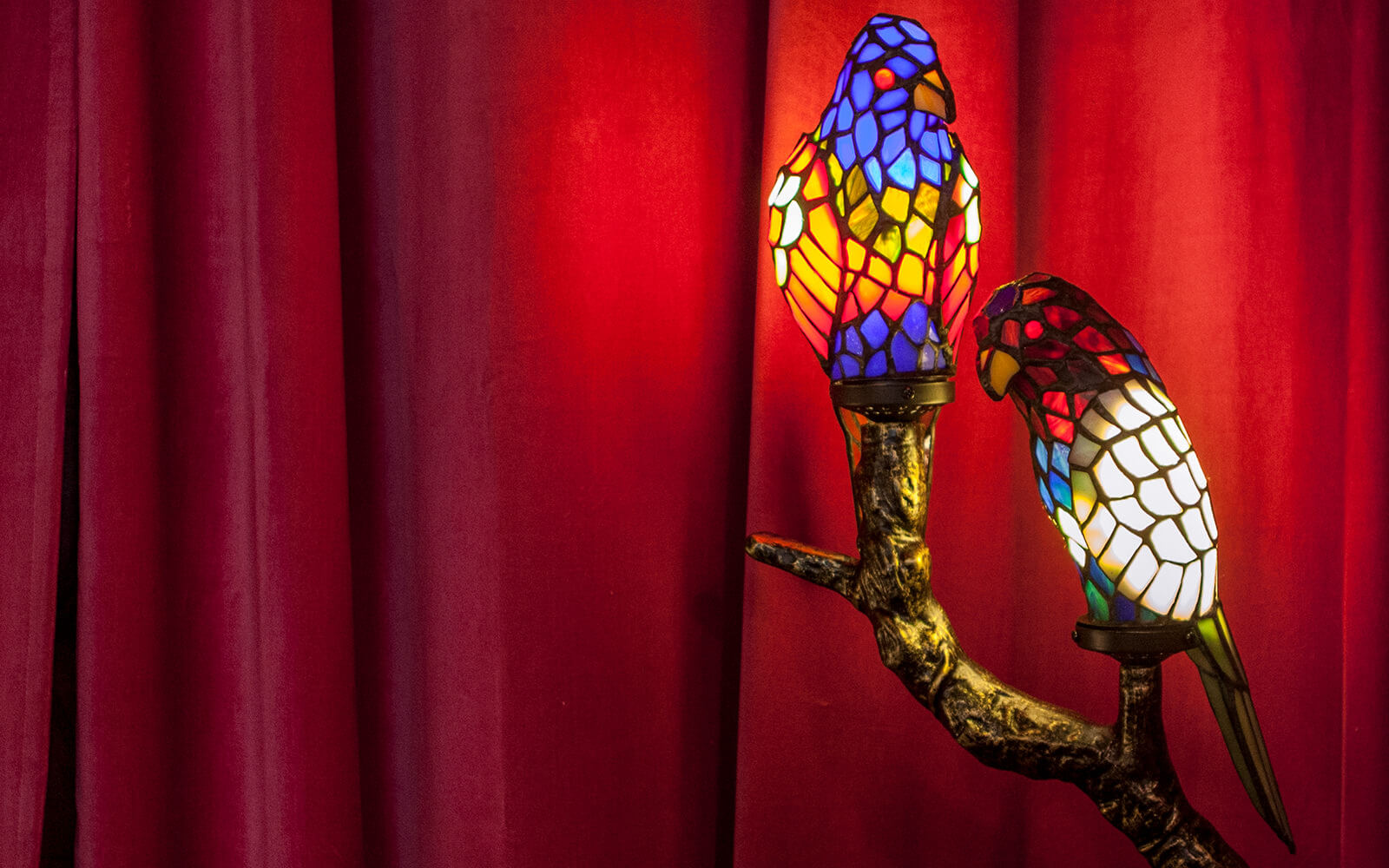 Markenkuss Referenzen: Fotografie Papageienlampen für IIMORI Gyoza Bar 